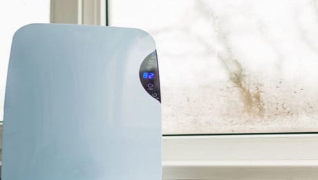 Dehumidifier on windowsill