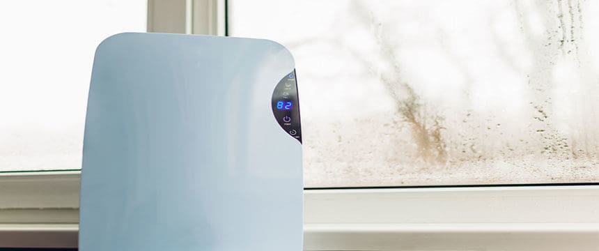 Dehumidifier on windowsill