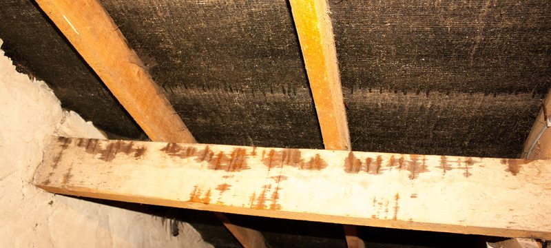 Timber ceiling beams