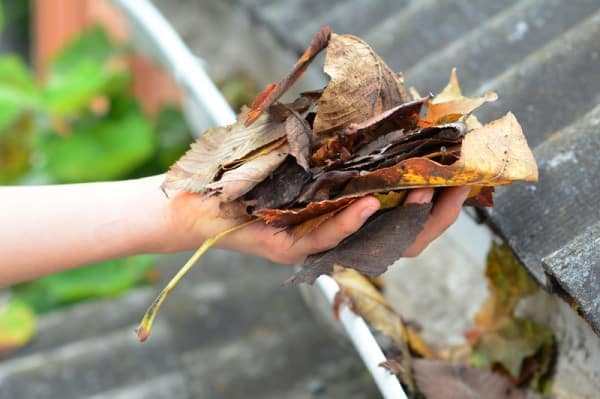 Emptying blocked gutters of leaves