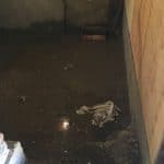 A flooded basement floor