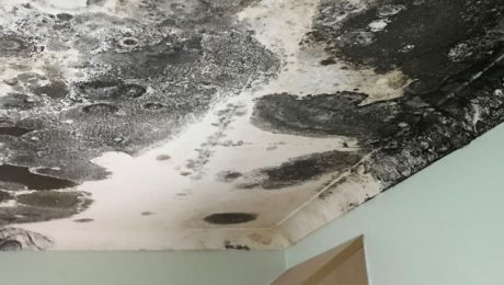 Heavy spots of black mould on ceiling