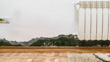 Evidence of moisture and mould on internal wall in house