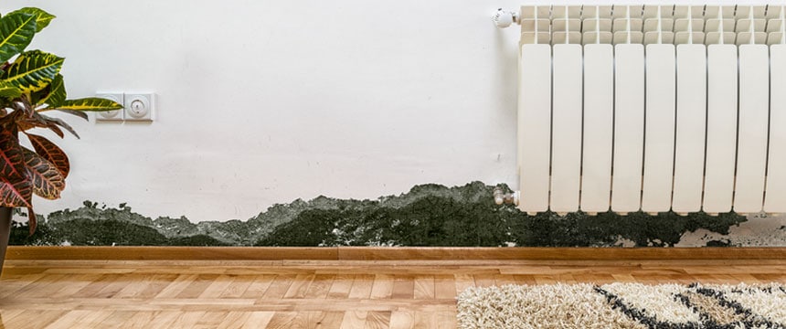 Evidence of moisture and mould on internal wall in house