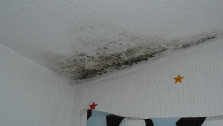 Black mould forming in corner of ceiling