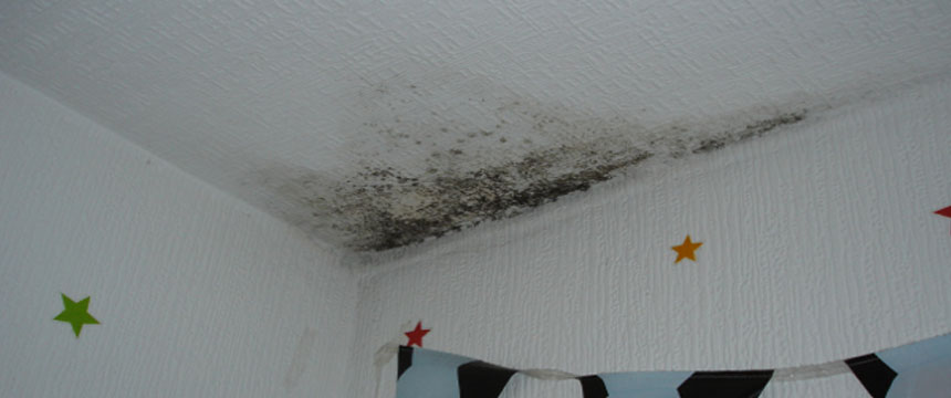 Black mould forming in corner of ceiling