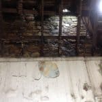 Interior wall showing signs of damage from dry rot Interior wall showing signs of damage from dry rot