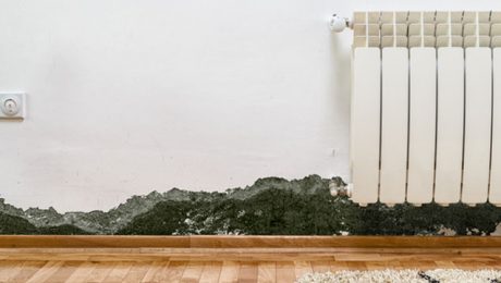 Evidence of rising damp present in house