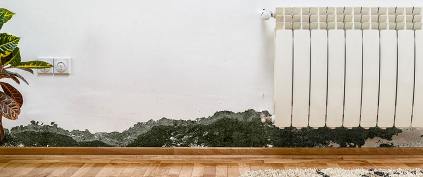 Evidence of rising damp present in house