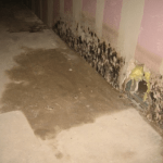 Water ingress Closeup of water ingress on wall and floor