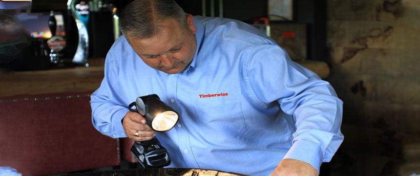 Surveyor carrying out checks on a woodworm survey