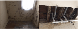 Penetrating damp damage
