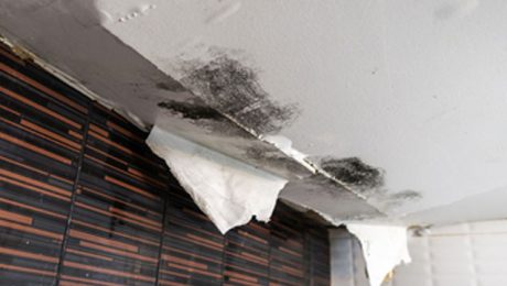 Water leak through ceiling