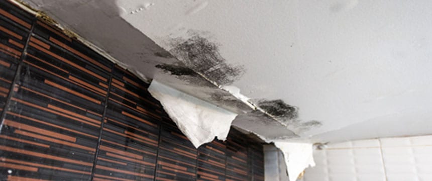 Water leak through ceiling