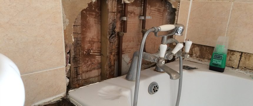Exposed wet rot decaying timbers behind a bath tub in a bathroom