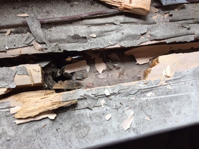 Wood rot to a windowsill