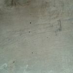 Woodworm holes on piece of timber